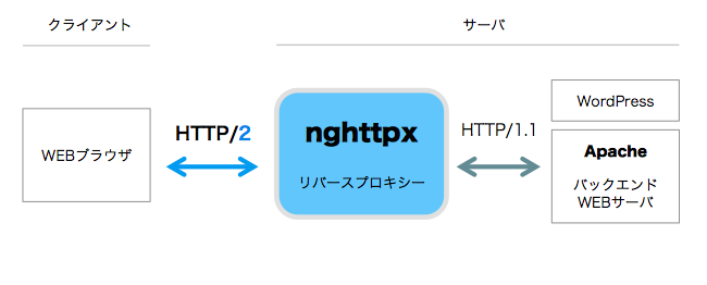 nghttpx-01