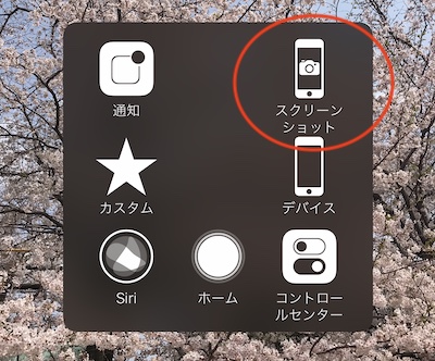 Assistive Touch の表示